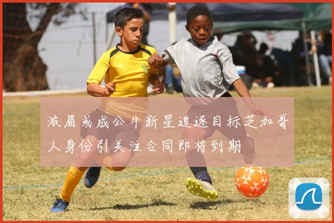 浓眉或成公牛新星追逐目标芝加哥人身份引关注合同即将到期