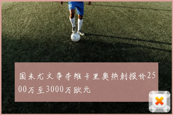 国米尤文争夺维卡里奥热刺报价2500万至3000万欧元