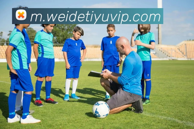 伟德体育平台生态图